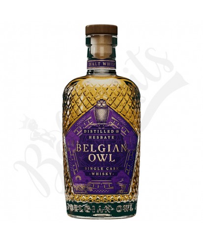 Belgian Owl Purple Passion