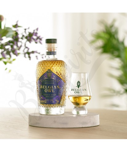 Belgian Owl Purple Passion