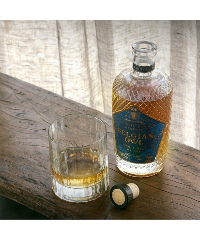 Belgian Owl Blue Evolution