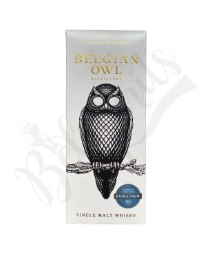 Belgian Owl Blue Evolution