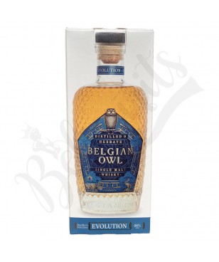 Belgian Owl Blue Evolution